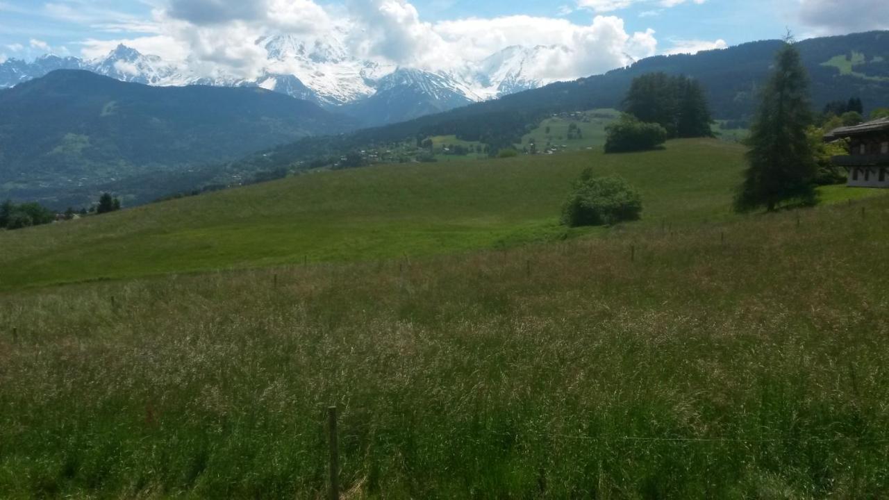 Rez De Chaussee Tres Calme Vue Mont-Blanc Combloux Ruang foto